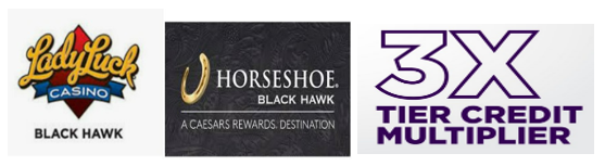 Horseshoe Black Hawk